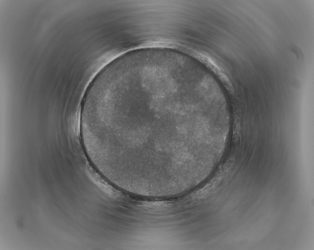 X0000110761276200907271136