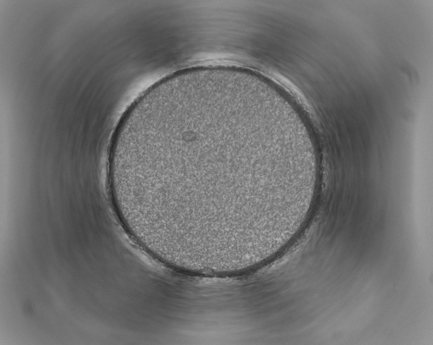 X0000110761277200907271136