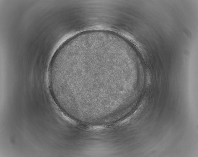 X0000110761278200907271136