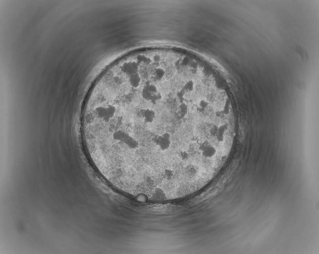 X0000110761279200907271136