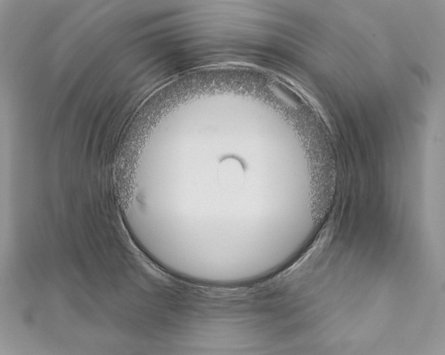 X0000110761281200907271136