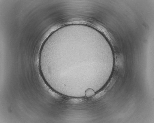 X0000110761282200907271136