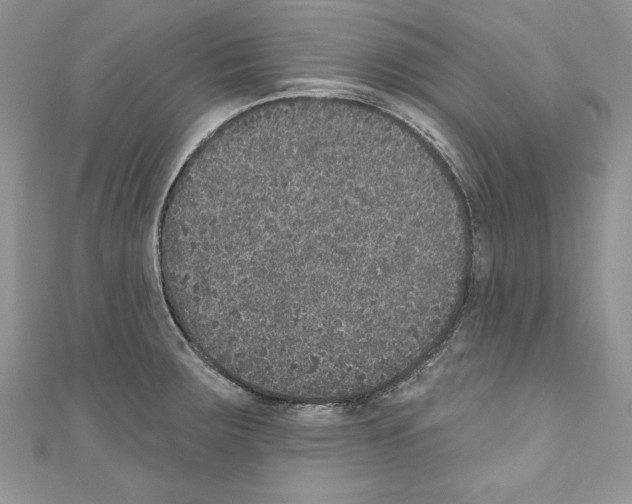 X0000110761283200907271136