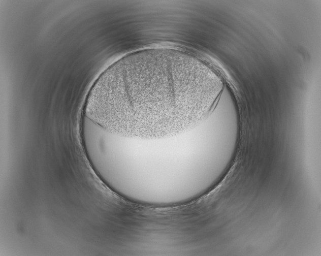 X0000110761284200907271136