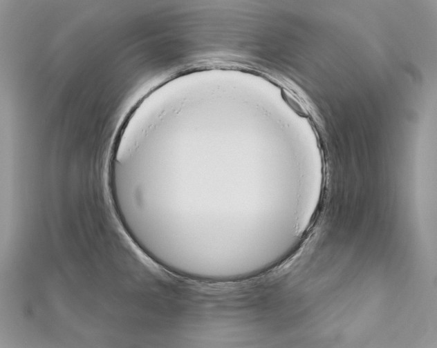 X0000110761285200907271136