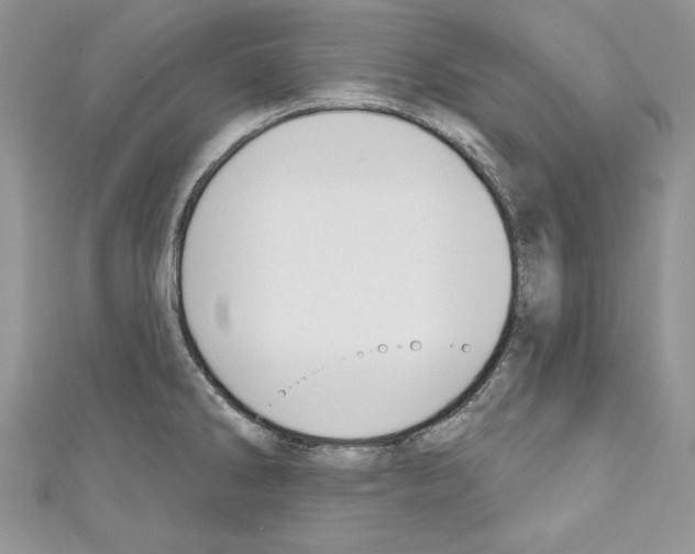 X0000110761286200907271136