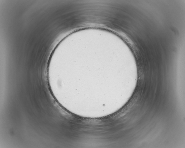 X0000110761287200907271136