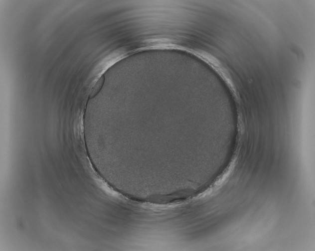 X0000110761289200907271136