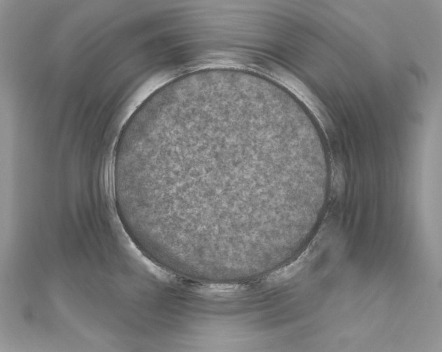 X0000110761290200907271136