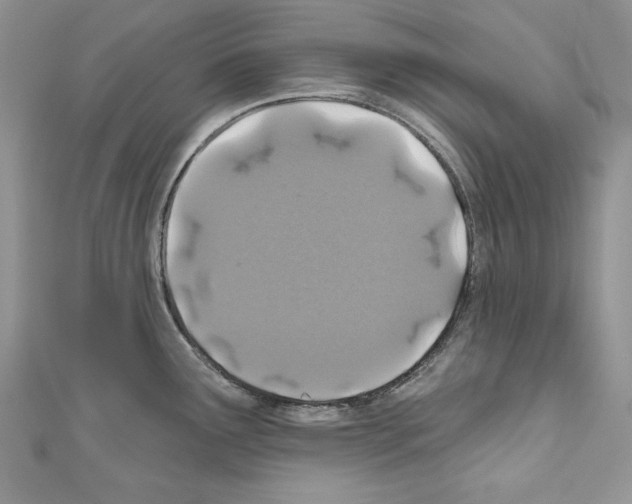 X0000110761291200907271136