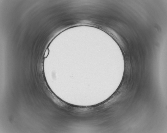 X0000110761292200907271136