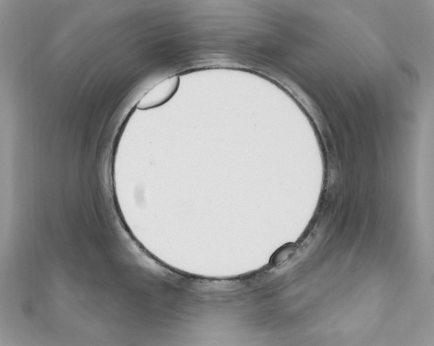 X0000110761293200907271136