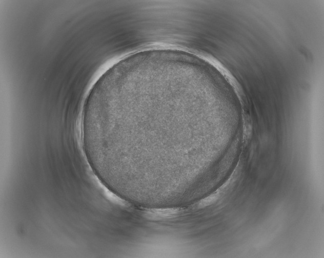 X0000110761294200907271136