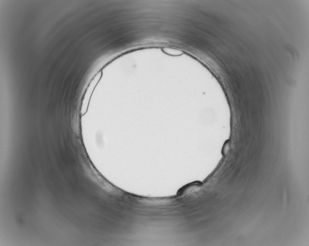 X0000110761296200907271136