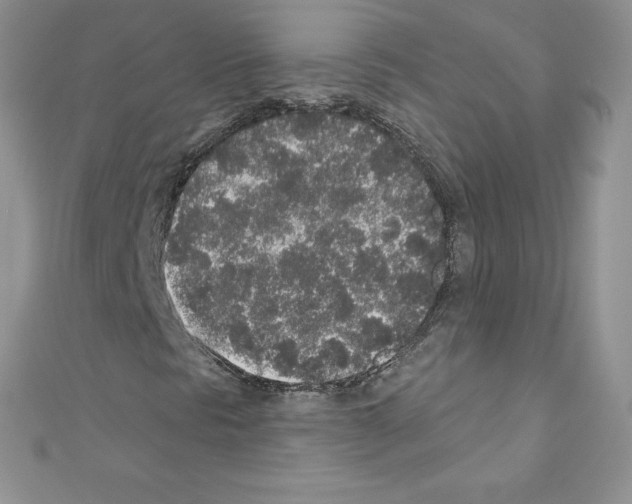 X0000110761297200907271135