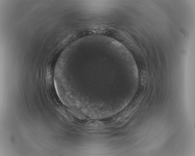 X0000110761298200907271135