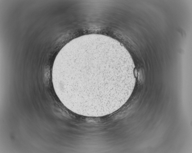 X0000110761299200907271135