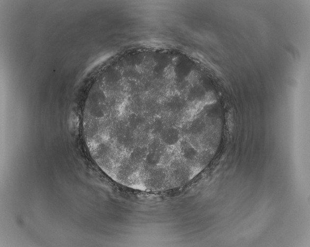 X0000110761302200907271135