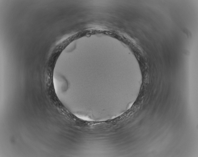 X0000110761303200907271135