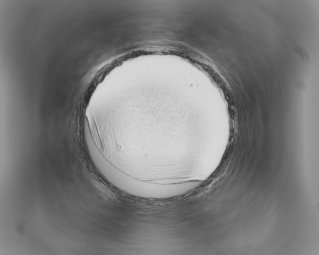 X0000110761304200907271135