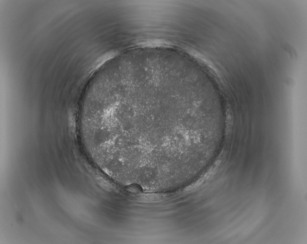 X0000110761305200907271135