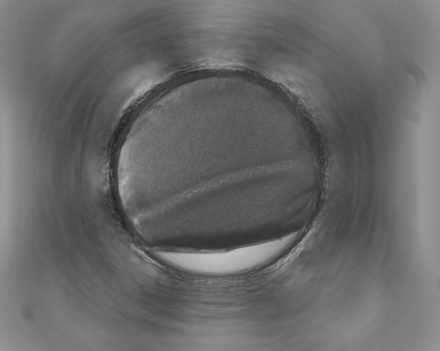 X0000110761306200907271135