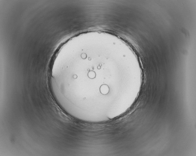 X0000110761308200907271135