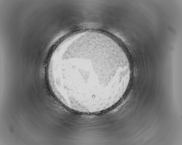 X0000110761309200907271135