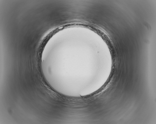 X0000110761310200907271135