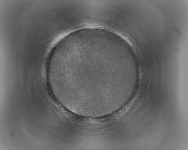 X0000110761311200907271135