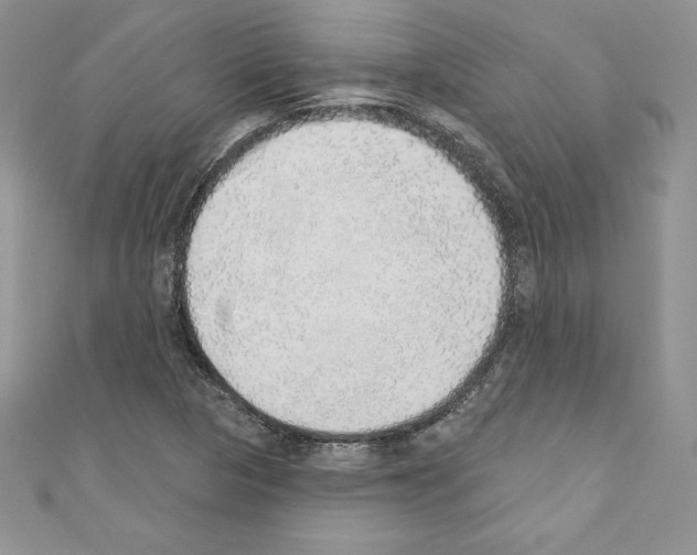 X0000110761313200907271135