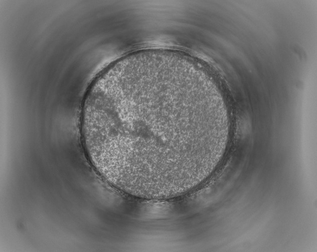 X0000110761314200907271135