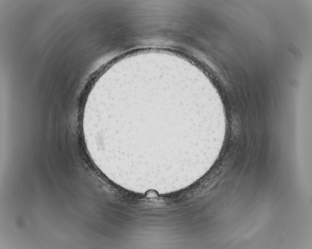 X0000110761315200907271135