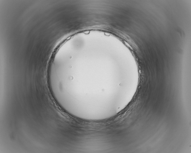 X0000110761316200907271135