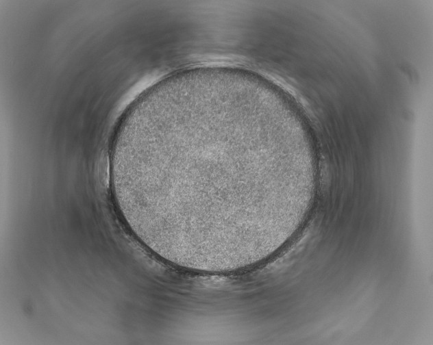 X0000110761317200907271135