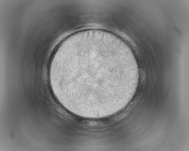 X0000110761318200907271135