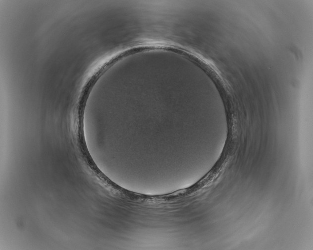 X0000110761319200907271135