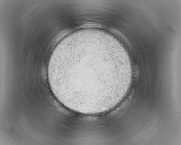 X0000110761321200907271135
