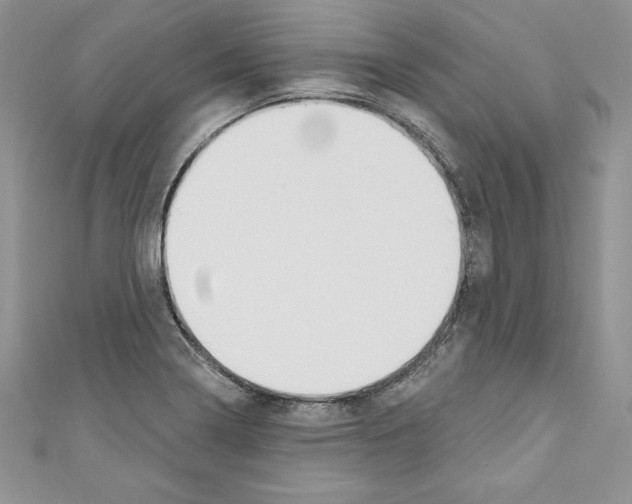 X0000110761322200907271135