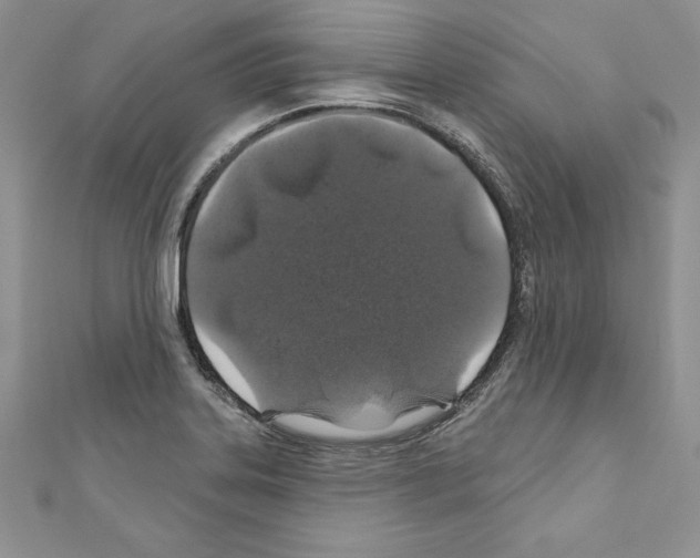X0000110761323200907271135