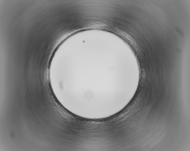 X0000110761324200907271135