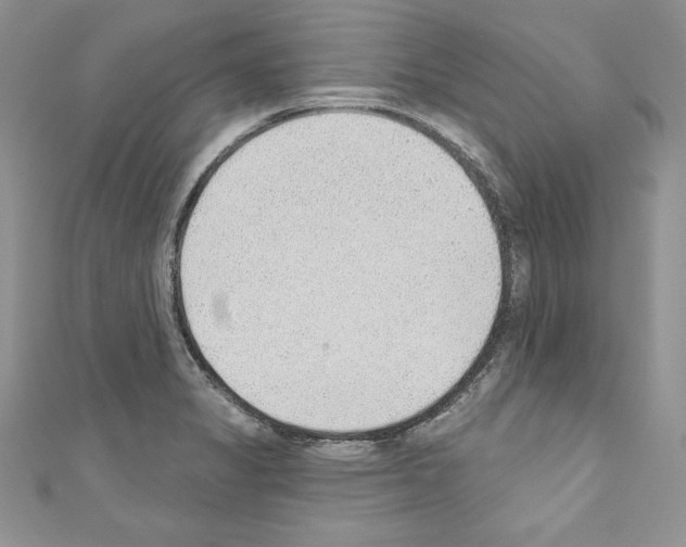 X0000110761325200907271135