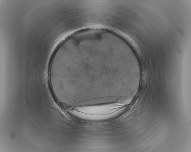 X0000110761327200907271135