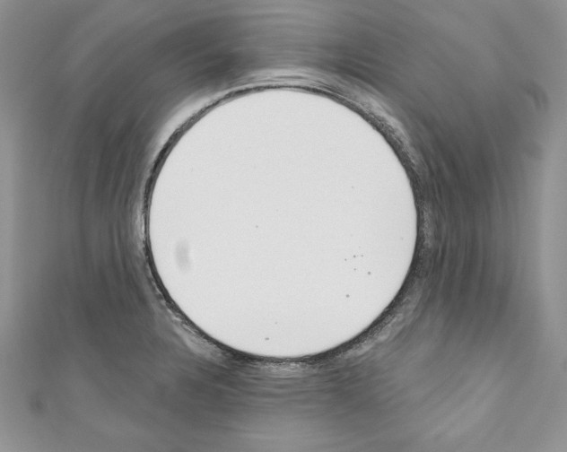 X0000110761328200907271135
