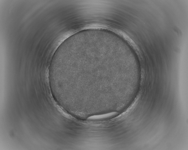 X0000110761329200907271135