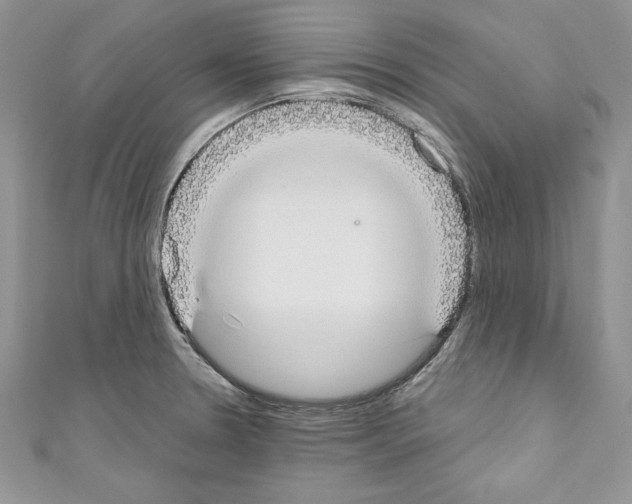 X0000110761330200907271135