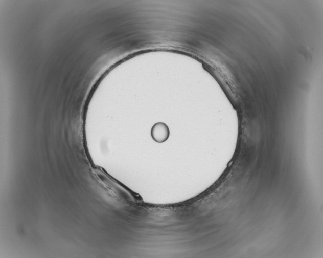 X0000110761332200907271135