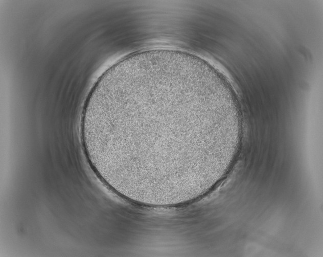 X0000110761333200907271135