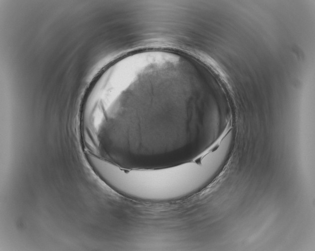 X0000110761334200907271135