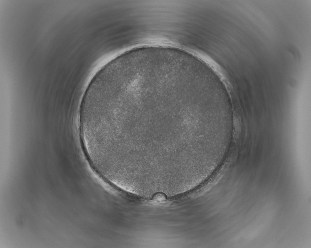 X0000110761335200907271135
